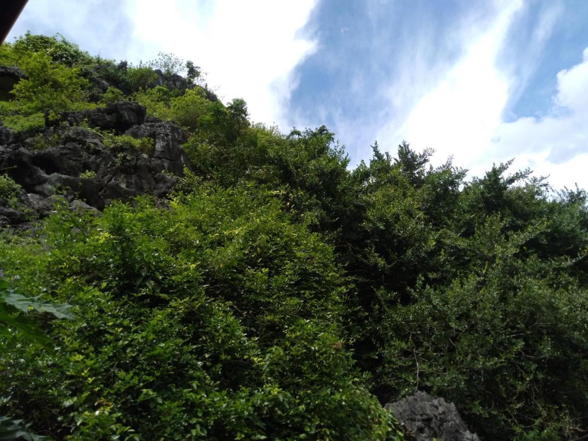 Ali Homestay Ниньбинь Экстерьер фото